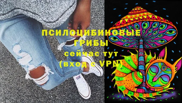 дмт Богородицк